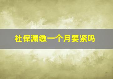 社保漏缴一个月要紧吗