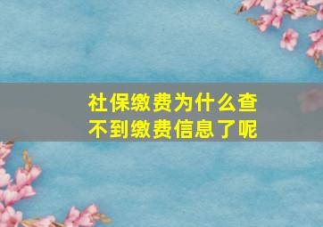 社保缴费为什么查不到缴费信息了呢