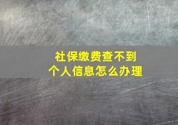 社保缴费查不到个人信息怎么办理