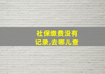 社保缴费没有记录,去哪儿查