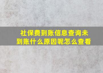 社保费到账信息查询未到账什么原因呢怎么查看