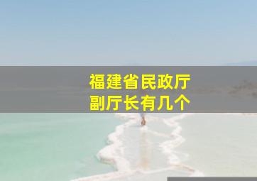 福建省民政厅副厅长有几个