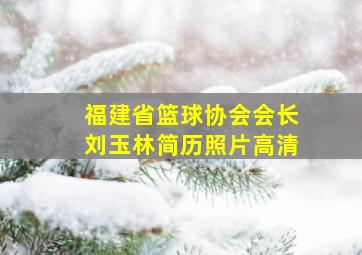 福建省篮球协会会长刘玉林简历照片高清