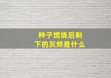 种子燃烧后剩下的灰烬是什么