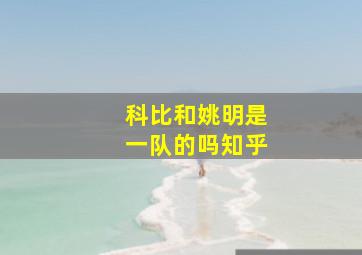 科比和姚明是一队的吗知乎