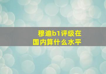 穆迪b1评级在国内算什么水平