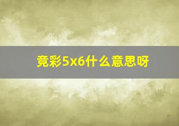 竞彩5x6什么意思呀