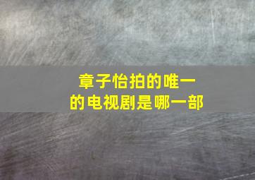 章子怡拍的唯一的电视剧是哪一部