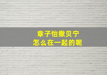 章子怡撒贝宁怎么在一起的呢