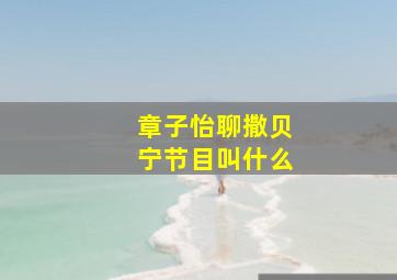 章子怡聊撒贝宁节目叫什么