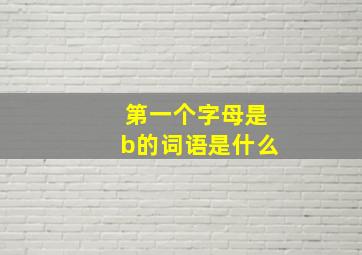 第一个字母是b的词语是什么