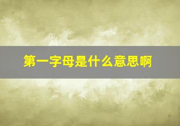 第一字母是什么意思啊