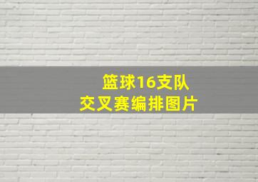 篮球16支队交叉赛编排图片