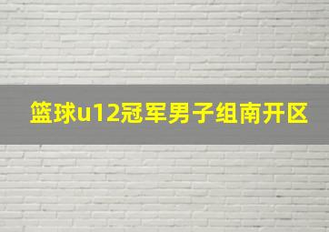 篮球u12冠军男子组南开区