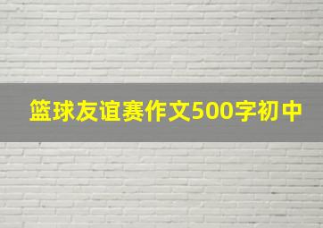 篮球友谊赛作文500字初中