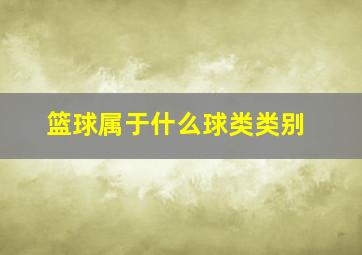 篮球属于什么球类类别