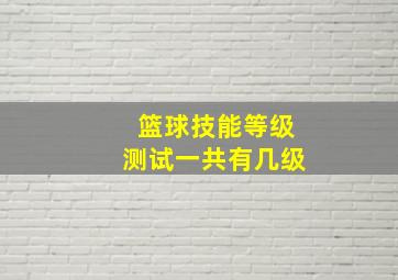 篮球技能等级测试一共有几级