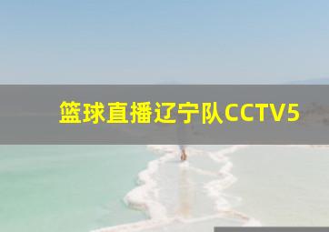 篮球直播辽宁队CCTV5