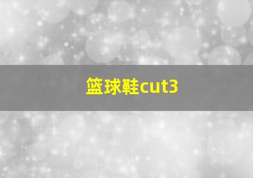 篮球鞋cut3