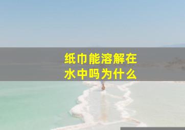 纸巾能溶解在水中吗为什么