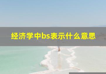 经济学中bs表示什么意思