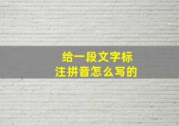 给一段文字标注拼音怎么写的