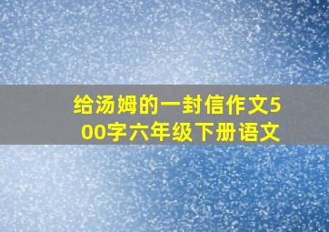 给汤姆的一封信作文500字六年级下册语文