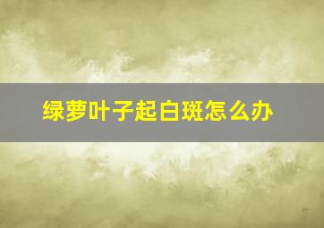 绿萝叶子起白斑怎么办