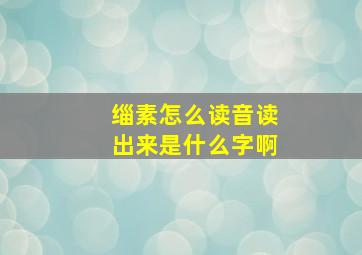 缁素怎么读音读出来是什么字啊