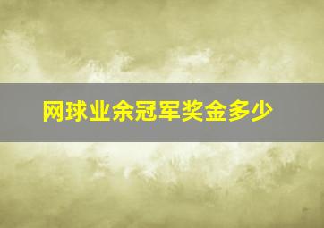 网球业余冠军奖金多少