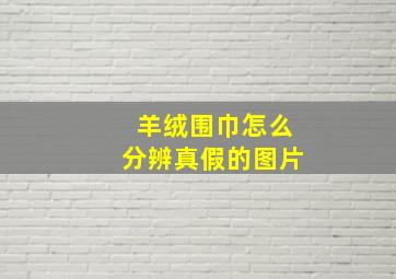 羊绒围巾怎么分辨真假的图片