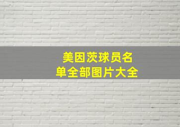 美因茨球员名单全部图片大全