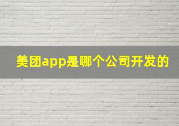 美团app是哪个公司开发的