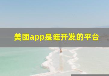 美团app是谁开发的平台