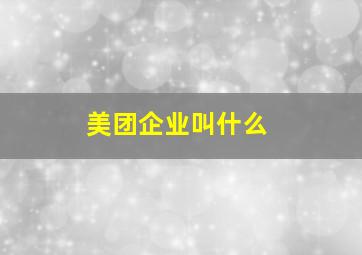 美团企业叫什么