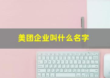 美团企业叫什么名字