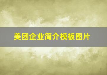 美团企业简介模板图片