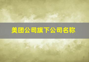 美团公司旗下公司名称