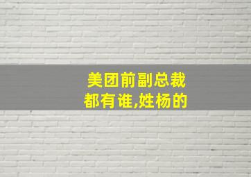 美团前副总裁都有谁,姓杨的