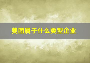 美团属于什么类型企业