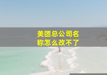 美团总公司名称怎么改不了