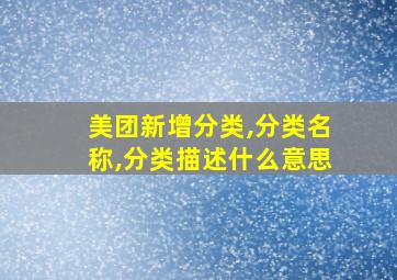 美团新增分类,分类名称,分类描述什么意思