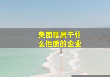 美团是属于什么性质的企业