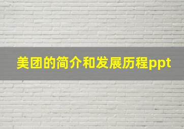 美团的简介和发展历程ppt