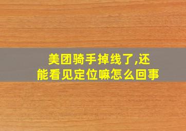 美团骑手掉线了,还能看见定位嘛怎么回事