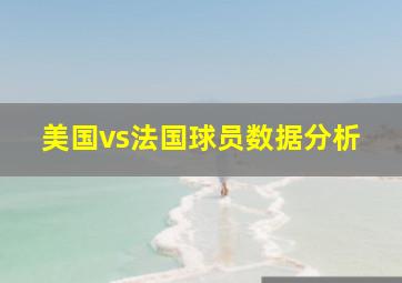 美国vs法国球员数据分析