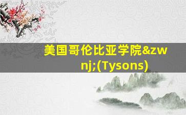 美国哥伦比亚学院‌(Tysons)