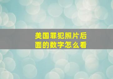 美国罪犯照片后面的数字怎么看