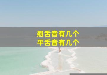 翘舌音有几个平舌音有几个