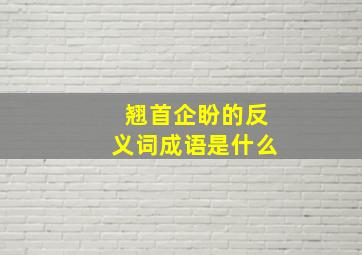 翘首企盼的反义词成语是什么